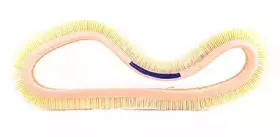 BSG 60-135-006 BSG Воздушный фильтр